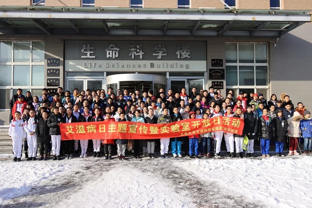 06224332511203.jpg 1.jpg