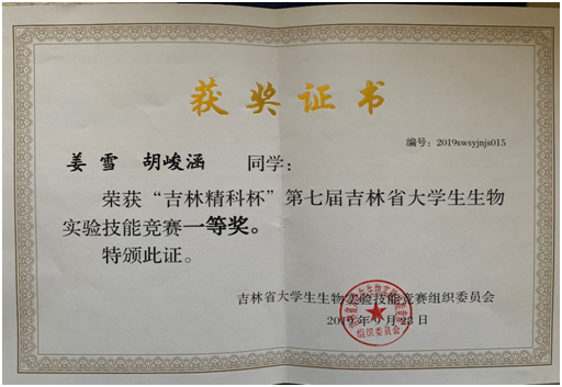 11115138640626.png 611.3.png